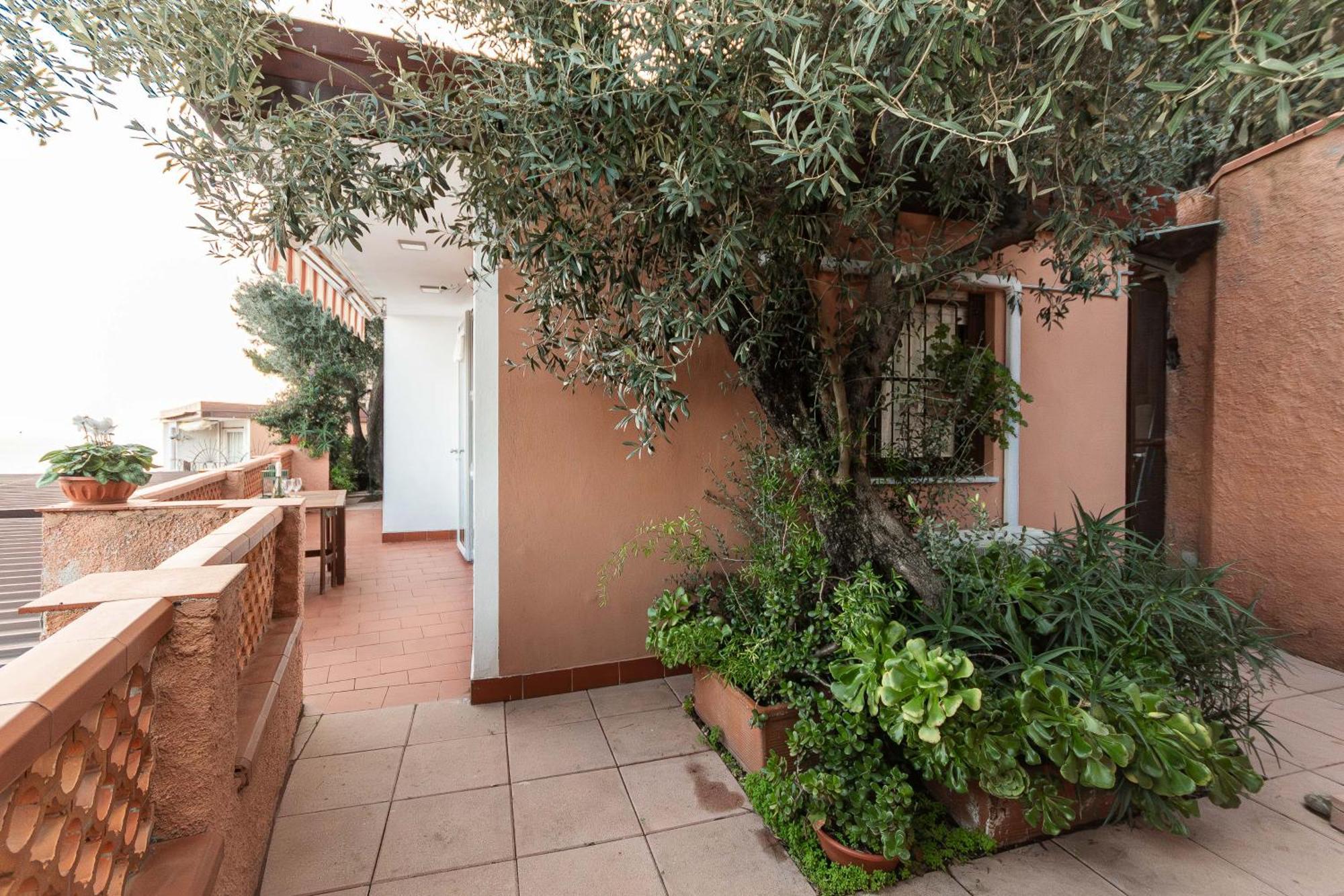 C22 Beachfront Villa - Spa Bath, Pool, Private Beach, Parking Free Marina dʼMarina dʼAndora 外观 照片